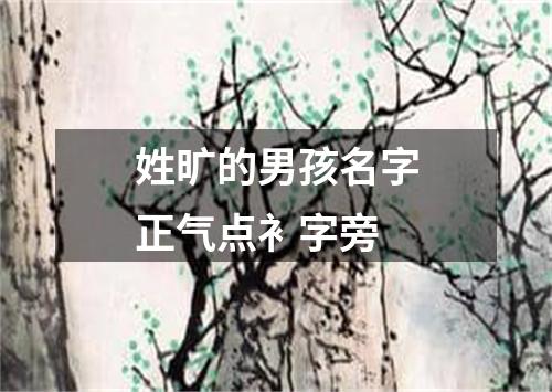 姓旷的男孩名字正气点衤字旁