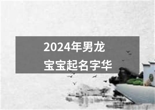 2024年男龙宝宝起名字华