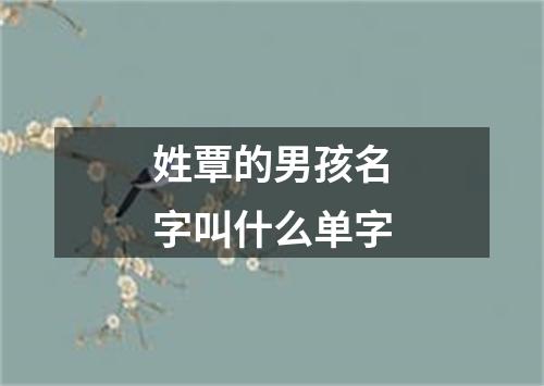 姓覃的男孩名字叫什么单字