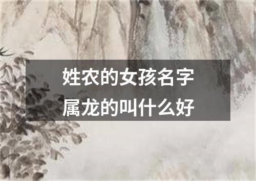 姓农的女孩名字属龙的叫什么好