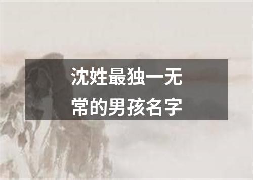 沈姓最独一无常的男孩名字