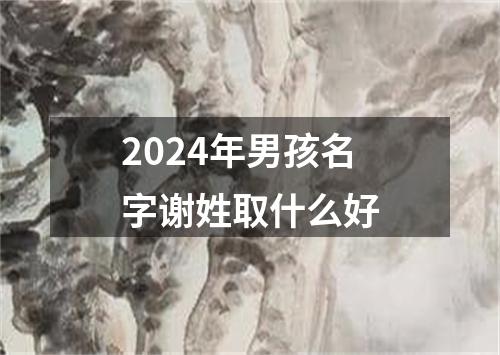 2024年男孩名字谢姓取什么好