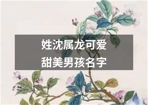 姓沈属龙可爱甜美男孩名字