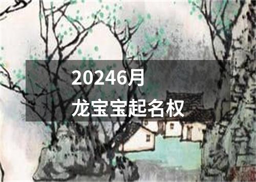 20246月龙宝宝起名权