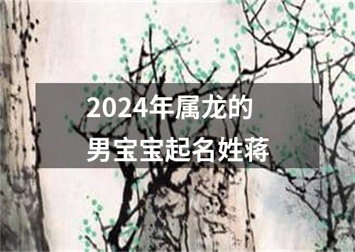 2024年属龙的男宝宝起名姓蒋