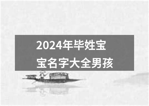 2024年毕姓宝宝名字大全男孩