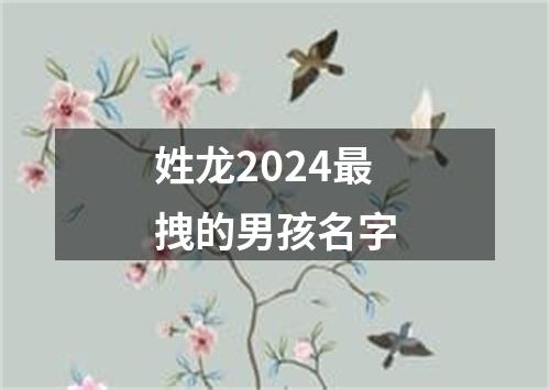 姓龙2024最拽的男孩名字