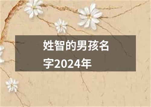 姓智的男孩名字2024年