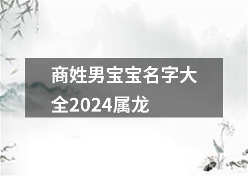 商姓男宝宝名字大全2024属龙