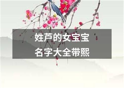 姓芦的女宝宝名字大全带熙