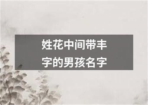 姓花中间带丰字的男孩名字