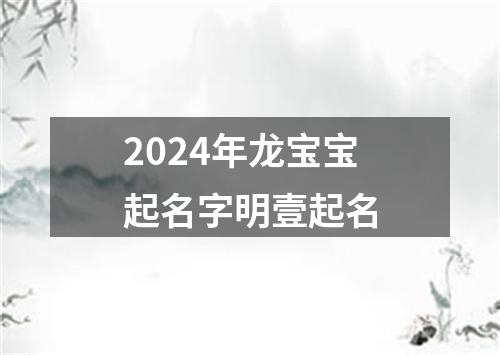 2024年龙宝宝起名字明壹起名