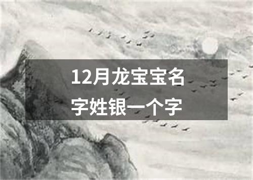 12月龙宝宝名字姓银一个字