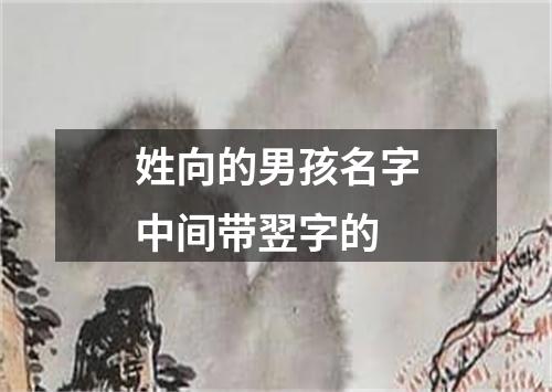 姓向的男孩名字中间带翌字的