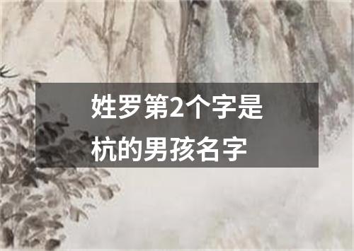 姓罗第2个字是杭的男孩名字