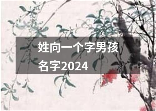 姓向一个字男孩名字2024