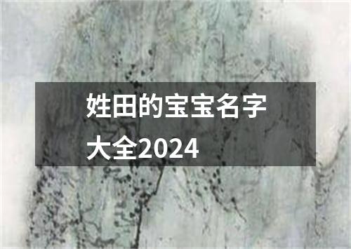 姓田的宝宝名字大全2024