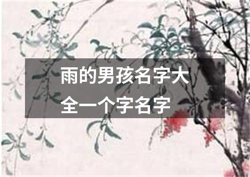 雨的男孩名字大全一个字名字