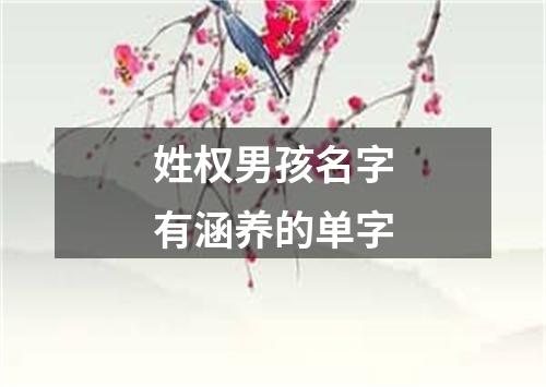 姓权男孩名字有涵养的单字