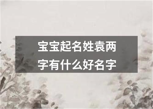 宝宝起名姓袁两字有什么好名字