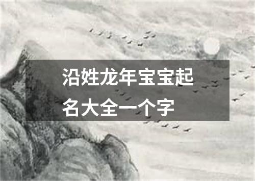 沿姓龙年宝宝起名大全一个字