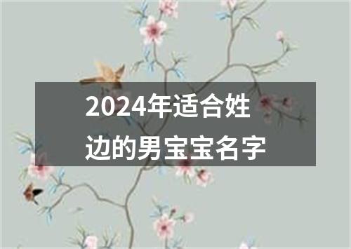 2024年适合姓边的男宝宝名字