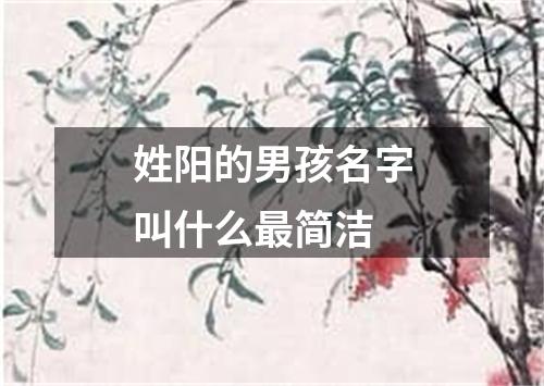 姓阳的男孩名字叫什么最简洁