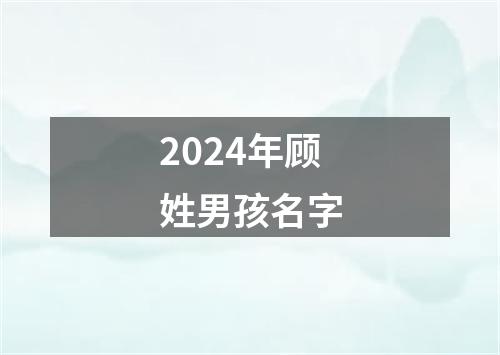 2024年顾姓男孩名字