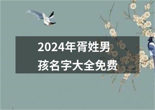 2024年胥姓男孩名字大全免费