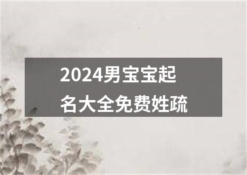 2024男宝宝起名大全免费姓疏