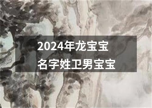 2024年龙宝宝名字姓卫男宝宝