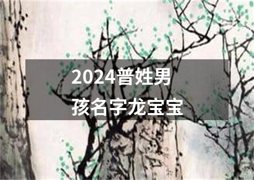 2024普姓男孩名字龙宝宝