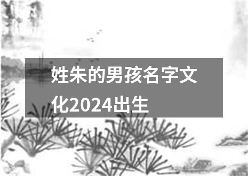 姓朱的男孩名字文化2024出生