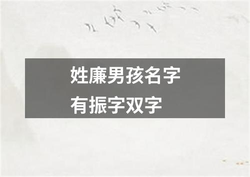 姓廉男孩名字有振字双字