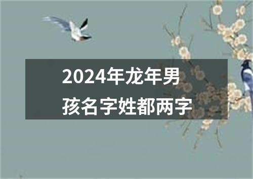 2024年龙年男孩名字姓都两字