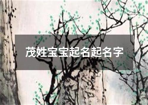 茂姓宝宝起名起名字