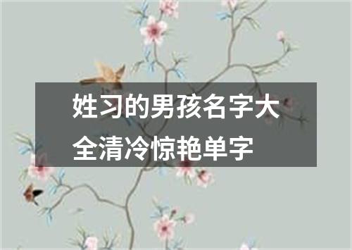 姓习的男孩名字大全清冷惊艳单字