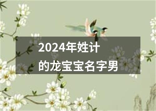 2024年姓计的龙宝宝名字男