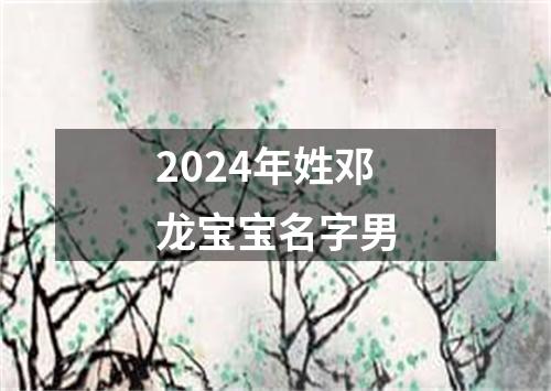 2024年姓邓龙宝宝名字男