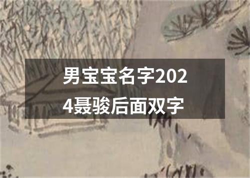 男宝宝名字2024聂骏后面双字