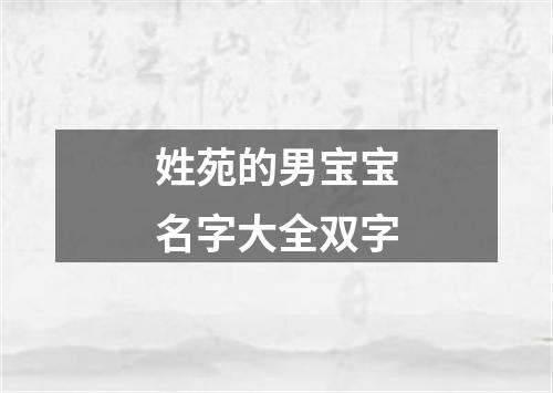 姓苑的男宝宝名字大全双字