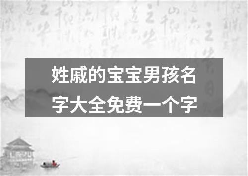 姓戚的宝宝男孩名字大全免费一个字