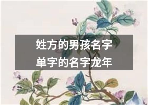 姓方的男孩名字单字的名字龙年