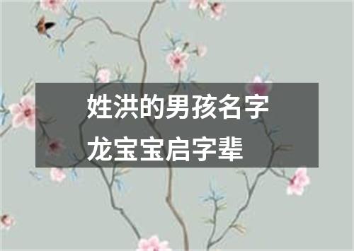 姓洪的男孩名字龙宝宝启字辈