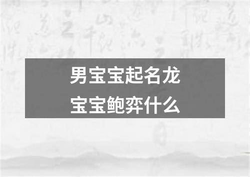 男宝宝起名龙宝宝鲍弈什么