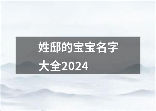 姓邸的宝宝名字大全2024