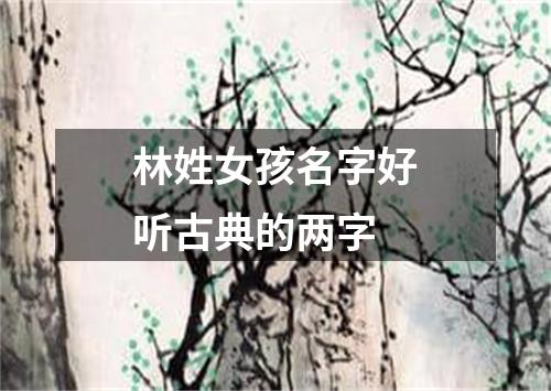 林姓女孩名字好听古典的两字