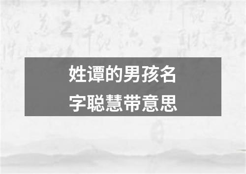 姓谭的男孩名字聪慧带意思