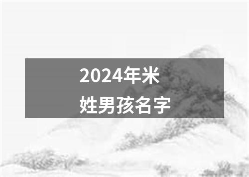 2024年米姓男孩名字