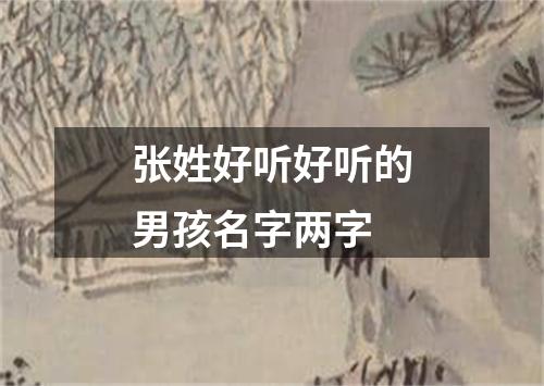 张姓好听好听的男孩名字两字